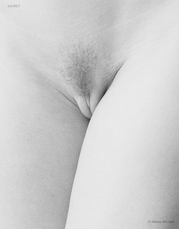 Explicit b&w abstract nude photo of model Cleo, © 1997 by Craig Morey