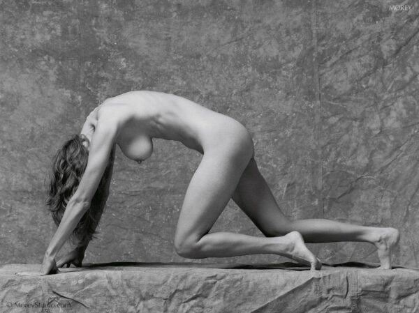 Natalie nude in athletic studio profile, b&w photo by Craig Morey